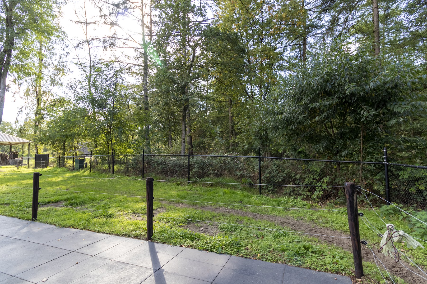 Terras met uitzicht op het bos