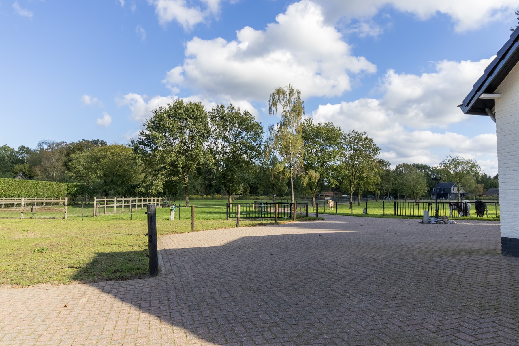 Uitzicht over het weiland