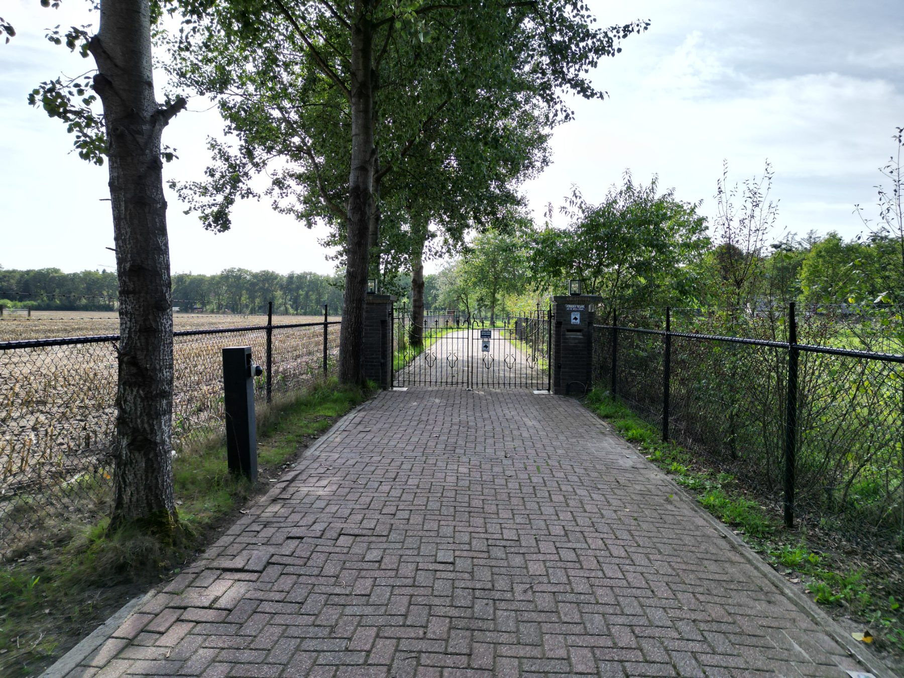 De oprijlaan met het hek