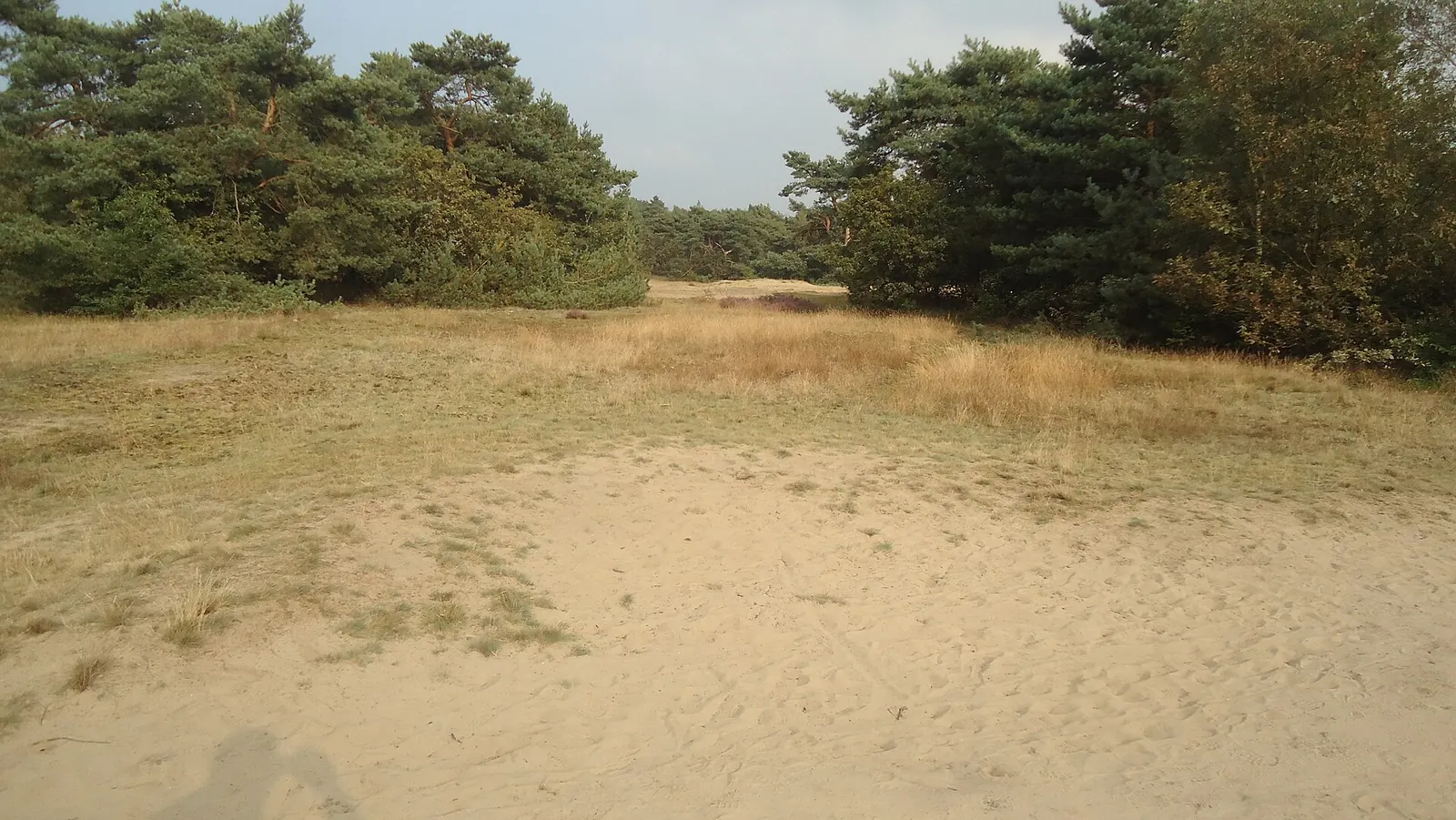 Zandverstuiving op de Veluwe